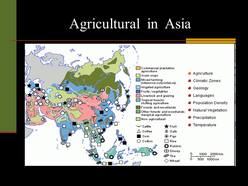 Agricultural  in  Asia